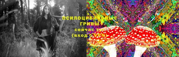 соль курить ск Арсеньев