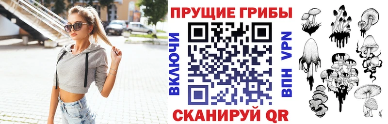 Галлюциногенные грибы Psilocybine cubensis  Куса 